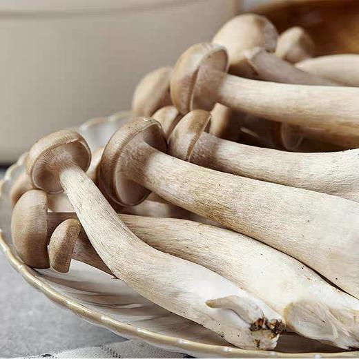 新鲜鹿茸菇 250g/500g 商品图0