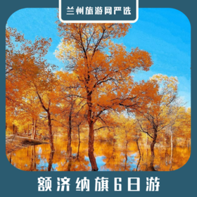 【额济纳6日游】张掖丹霞+黑城怪树林+居延海+额济纳旗+大漠胡杨+金塔胡杨+武威雷台
