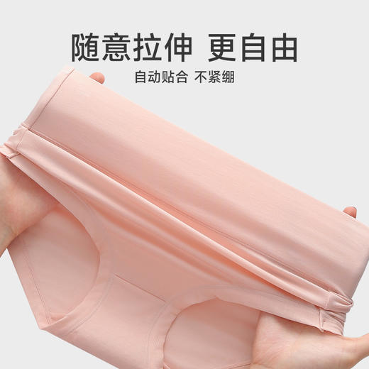 芬腾女夏季凉感内裤高腰收腹提臀莱赛尔三角裤透气柔软大码短裤头 商品图2