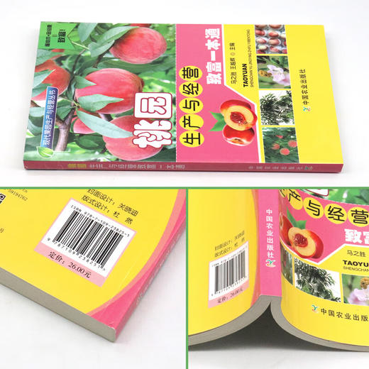 桃园生产与经营致富一本通 【官方正版，可开发票】 商品图1