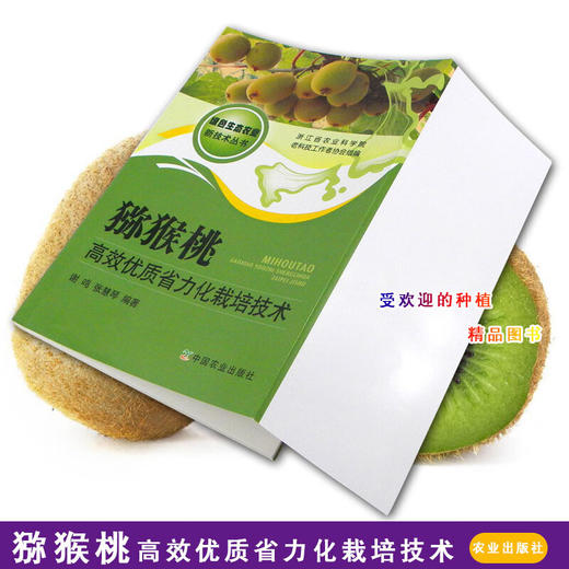 猕猴桃高效优质省力化栽培技术农业种植养殖猕猴桃栽培技术书籍【官方正版，可开发票，下单时留开票信息和电子邮箱】 商品图3