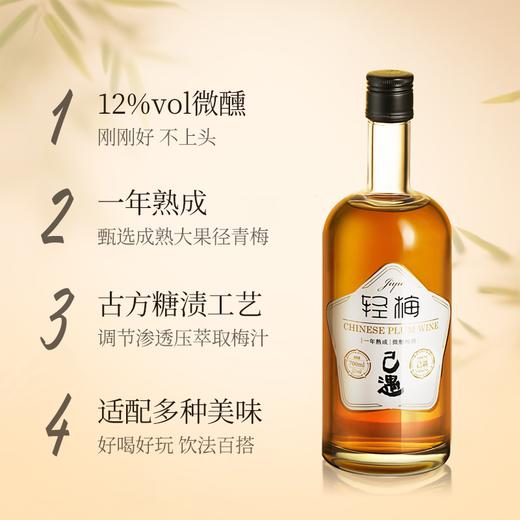 严选 | 己遇12度梅子酒 700ml/瓶（赠小瓶300ml+一个摇摇杯） 商品图0