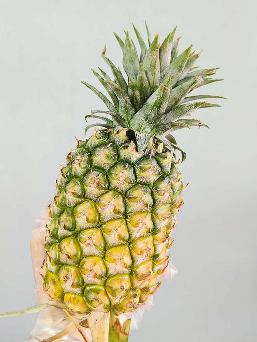 海南东蜜凤梨！海南高山坡地，有机种植，真正自然成熟🍃果肉金黄巨甜多汁🌿不需要泡水吃起来也不麻嘴!闻起来带有浓郁的，实测24糖，宛如蜜罐🍯4.5-5斤/箱 商品图1