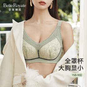 皇家丽美新款【浮光掠影】文胸夏季清爽薄款五排扣全罩杯软圈内衣WJ2F06-1