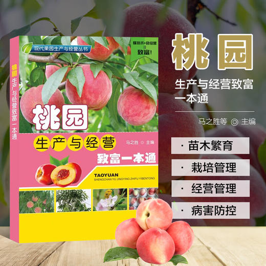 桃园生产与经营致富一本通 【官方正版，可开发票】 商品图0