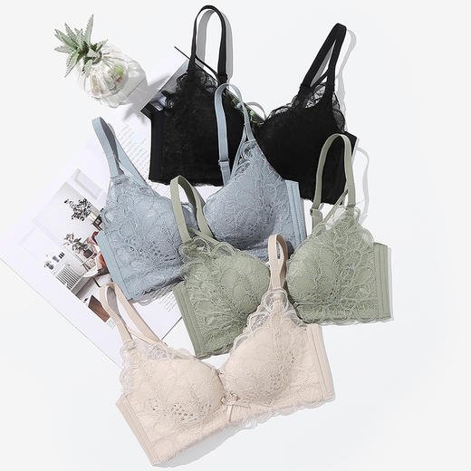 芬腾薄款性感蕾丝无钢圈文胸 A-4546 商品图4