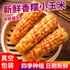 5斤实惠装【元气早餐！新鲜香糯小玉米】即食花糯玉米，粒粒饱满软糯鲜甜，营养轻食代餐，健康即食早餐加餐低热量宵夜Y 商品缩略图0