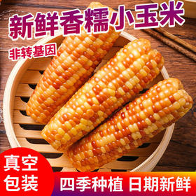 5斤实惠装【元气早餐！新鲜香糯小玉米】即食花糯玉米，粒粒饱满软糯鲜甜，营养轻食代餐，健康即食早餐加餐低热量宵夜Y