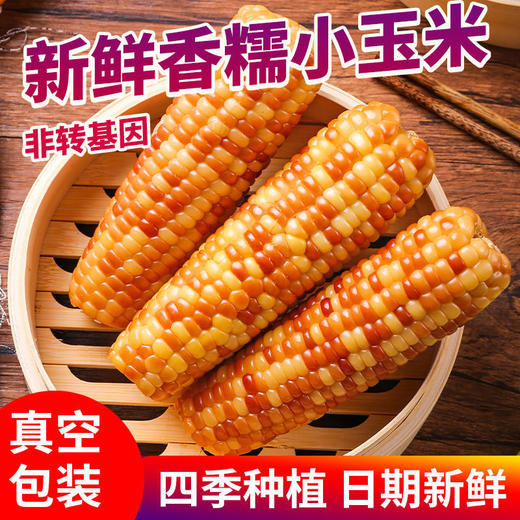 5斤实惠装【元气早餐！新鲜香糯小玉米】即食花糯玉米，粒粒饱满软糯鲜甜，营养轻食代餐，健康即食早餐加餐低热量宵夜Y 商品图0