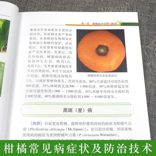 柑橘病虫害绿色防控彩色图谱 【官方正版，可开发票，下单时留开票信息和电子邮箱】 商品图2