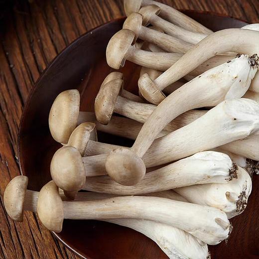 新鲜鹿茸菇 250g/500g 商品图1