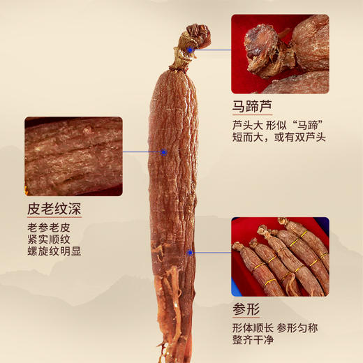热卖【高丽参原枝】生物圈系列高丽参整支礼盒正品 商品图3