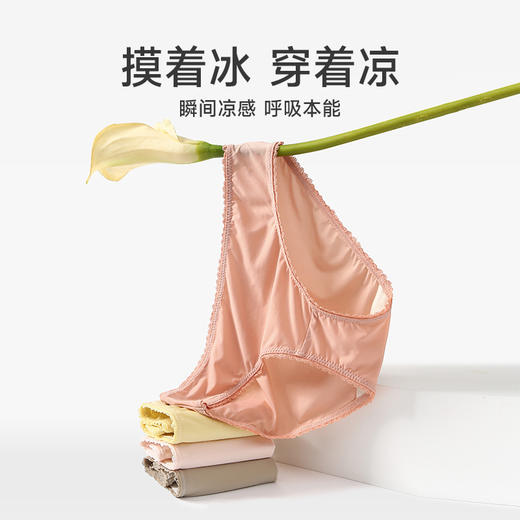 【4条特惠】芬腾冰丝内裤 A-4541 商品图4