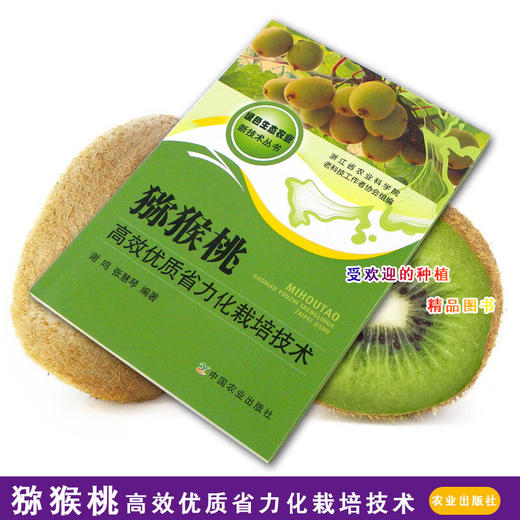 猕猴桃高效优质省力化栽培技术农业种植养殖猕猴桃栽培技术书籍【官方正版，可开发票，下单时留开票信息和电子邮箱】 商品图2
