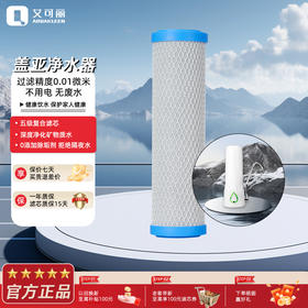 艾可丽 盖亚净水器家用直饮智能厨房自来水过滤器超滤台式净水机滤芯