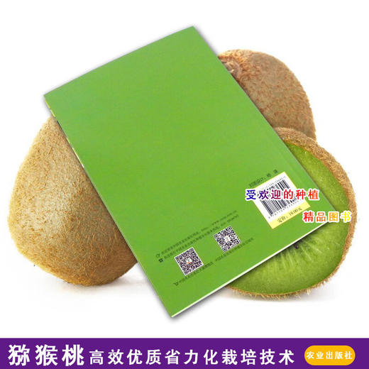 猕猴桃高效优质省力化栽培技术农业种植养殖猕猴桃栽培技术书籍【官方正版，可开发票，下单时留开票信息和电子邮箱】 商品图4