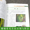 柑橘病虫害绿色防控彩色图谱 【官方正版，可开发票，下单时留开票信息和电子邮箱】 商品缩略图3