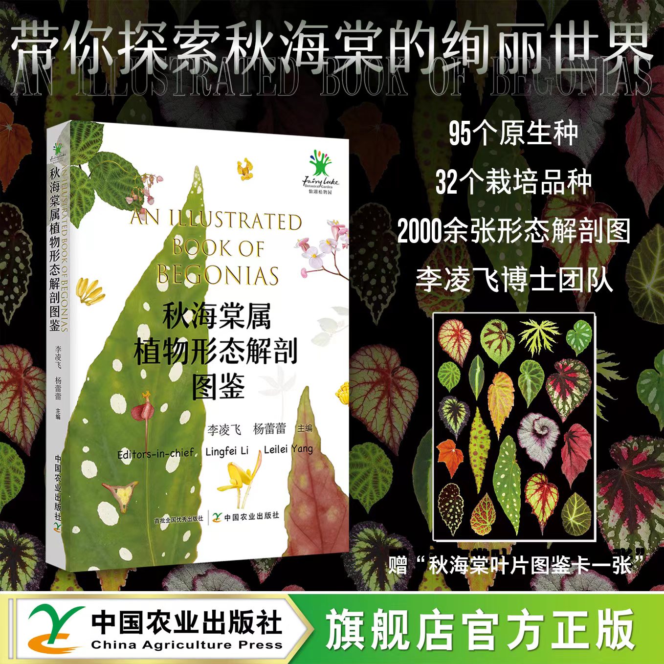 秋海棠属植物形态解剖图鉴【赠“秋海棠叶片图鉴卡一张”】（ 中国农业出版社官方正版，可开发票 ）