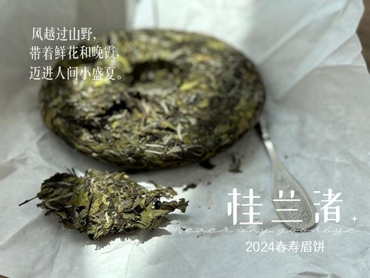【好茶来了】花香更艳，等级和香气、滋味都更胜往年的2024春寿眉饼《桂兰渚》 商品图5