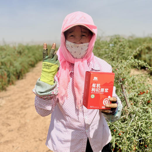 有机枸杞原浆 宁夏中卫新鲜枸杞鲜榨 高品质 拒绝添加 30ml*10袋/盒 商品图1
