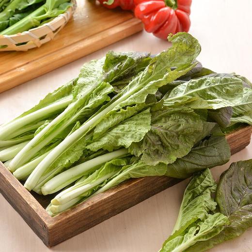 放心奶油紫快菜250g/份 商品图0