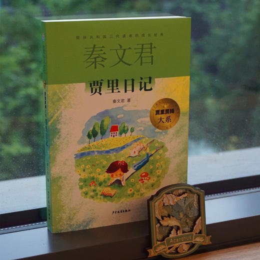 贾里日记 商品图1