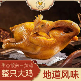 六窝土鸡盐焗鸡（散养120天）