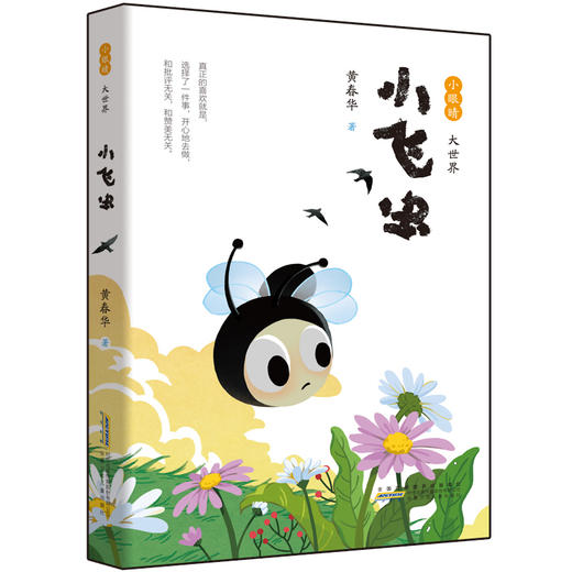 小眼睛 大世界·小飞虫 黄春华著 用清浅的故事 讲述了深刻的人生哲理 商品图0