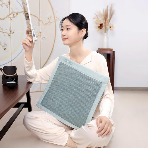 【618活动中】元气达人 艾绒凉感坐垫 商品图3