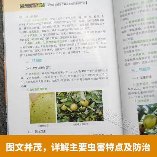 全图解柑橘生产痛点难点及解决方案【官方正版，可开发票，下单时留开票信息和电子邮箱】 商品图3