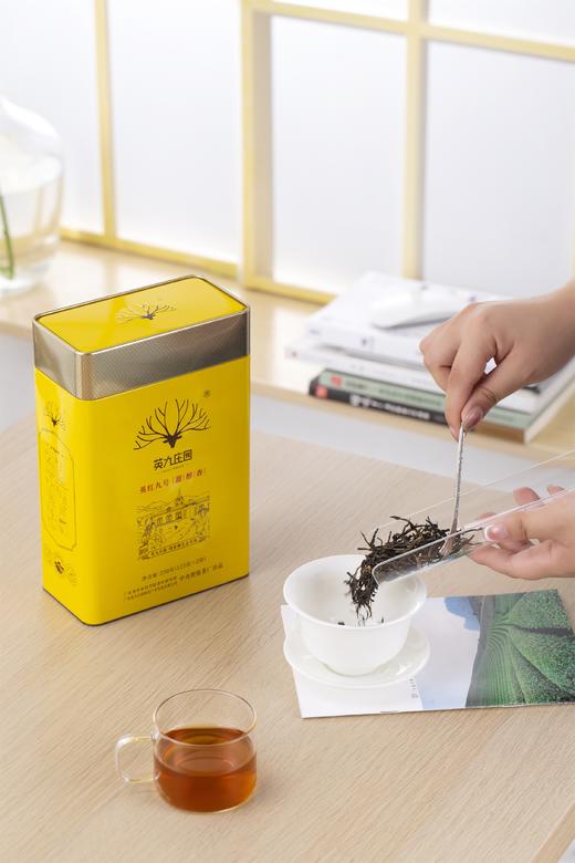 英九庄园皇冠250g/罐 商品图3