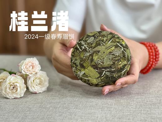 【好茶来了】花香更艳，2024春寿眉饼《小桂兰渚》（100克），香氛满怀、兰桂齐芳 商品图5