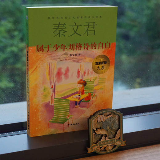 属于少年刘格诗的自白 商品图1