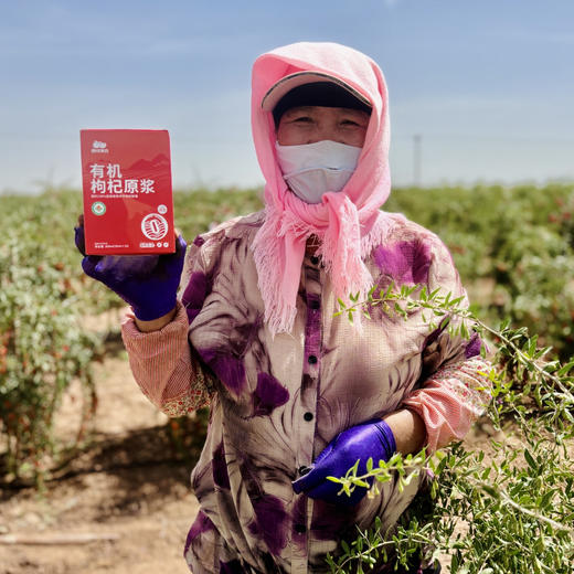 有机枸杞原浆 宁夏中卫新鲜枸杞鲜榨 高品质 拒绝添加 30ml*10袋/盒 商品图3