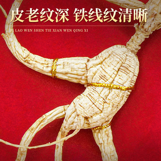 热卖【长白山甄选野山参】高档野山参礼盒珠钉60板野山参送礼一等品W系列 商品图8