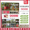 苹果新品种及配套技术【官方正版，可开发票，下单时留开票信息和电子邮箱】 商品缩略图0