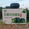 有机贝贝南瓜（基地直发-中通包邮）| 4.8斤装±50g，来自河南南召，生产者：李鹏【合作生产，公平贸易】 商品缩略图5