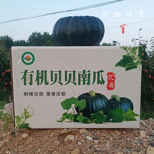 有机贝贝南瓜（基地直发-中通包邮）| 4.8斤装±50g，来自河南南召，生产者：李鹏【合作生产，公平贸易】 商品图5