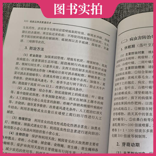 桃新品种及配套技术【官方正版，可开发票，下单时留开票信息和电子邮箱】 商品图4