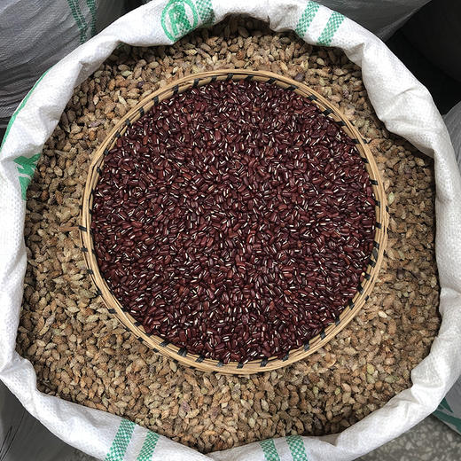 赤小豆 商品图2