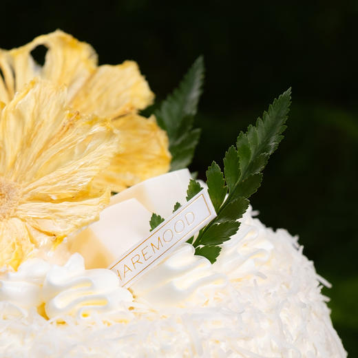 【榴莲椰椰】榴莲椰椰脆波波 商品图2