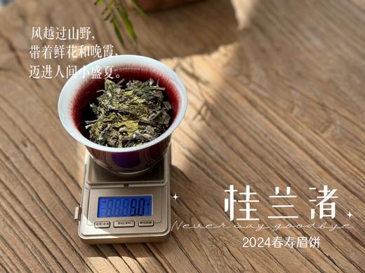 【好茶来了】花香更艳，等级和香气、滋味都更胜往年的2024春寿眉饼《桂兰渚》 商品图7