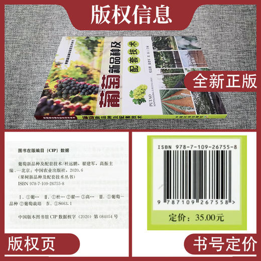 葡萄新品种及配套技术 【官方正版，可开发票，下单时留开票信息和电子邮箱】 商品图2