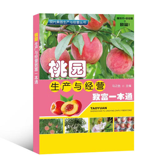 桃园生产与经营致富一本通 【官方正版，可开发票】 商品图2