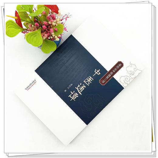 中医通谭 孟庆云中医通览三书 孟庆云 著 中国中医药出版社 商品图1