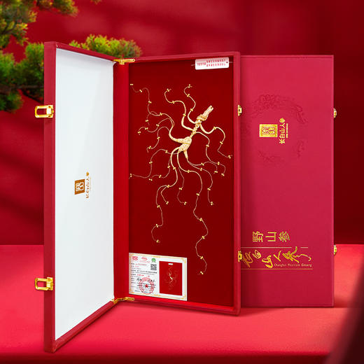 热卖【长白山甄选野山参】高档野山参礼盒珠钉60板野山参送礼一等品W系列 商品图1