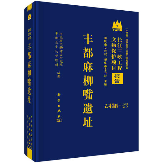 丰都麻柳嘴遗址 商品图0
