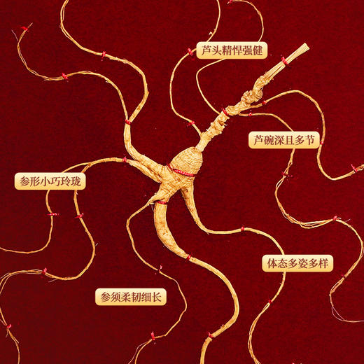 热售【野山参礼盒装】生物圈系列长白山野山参高档送礼野山参45板 商品图1