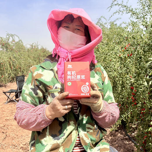 有机枸杞原浆 宁夏中卫新鲜枸杞鲜榨 高品质 拒绝添加 30ml*10袋/盒 商品图4