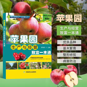 苹果园生产与经营致富一本通